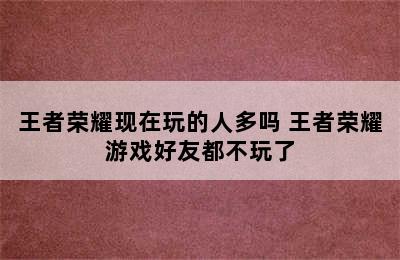 王者荣耀现在玩的人多吗 王者荣耀游戏好友都不玩了